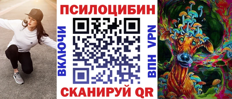 Псилоцибиновые грибы Psilocybe  купить наркотик  блэк спрут как зайти  Топки 
